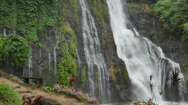 バリ島Banyumala Twin近くの滝 — ストック動画