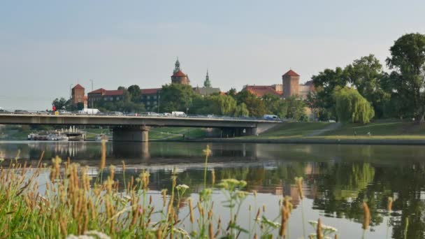 Ponte sobre o rio Vístula e verdes em primeiro plano — Vídeo de Stock