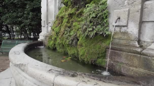 Petite fontaine dans le parc de Salerne - Plan moyen — Video