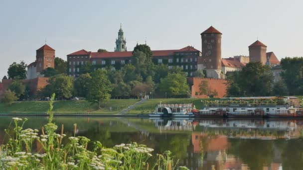 Θέα από το ποτάμι στο κάστρο Wawel και πράσινα βότανα στο προσκήνιο — Αρχείο Βίντεο