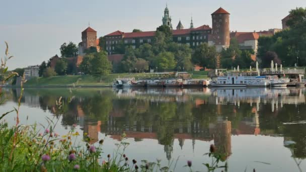 Vista desde el río Vístula en el Castillo de Wawel y hierbas verdes en primer plano — Vídeo de stock