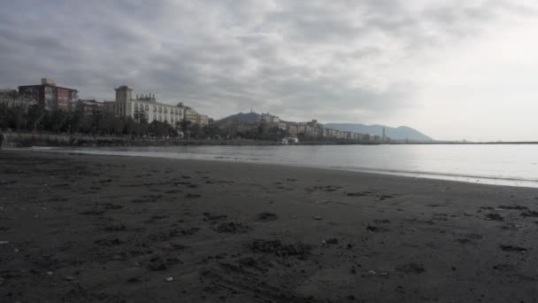 Femme avec chien énergisant le cadre sur la plage d'hiver à Salerne — Video