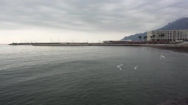 İtalya, Salerno 'da deniz kenarında uçan martılar.