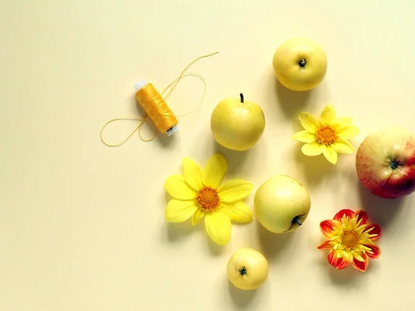 Yellow apples, yellow flowers and yellow threads on a yellow background.