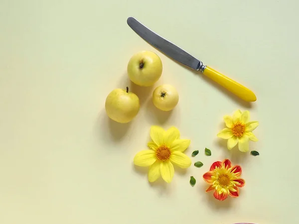 Bouquet of flowers, yellow thread, yellow knife and yellow apples on a yellow background. Garden concept.