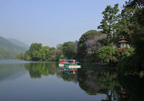 Liten Pagod Och Lila Blommande Träd Pokhara Nepal — Stockfoto