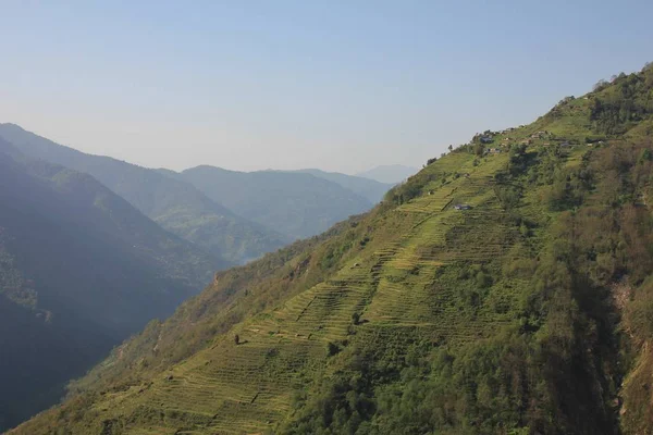 Brant Backe Med Terrasserade Fält Ghandruk Nepal — Stockfoto