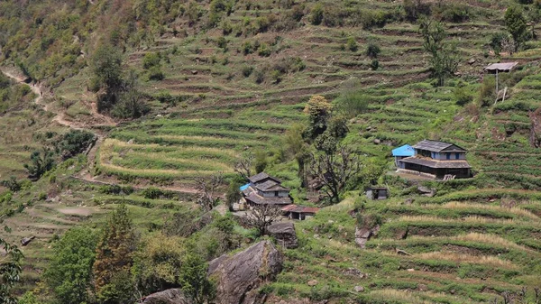 Traditional Architecture Terraced Fields Taulung Annapurna Conservation Area Nepal — Stock Photo, Image