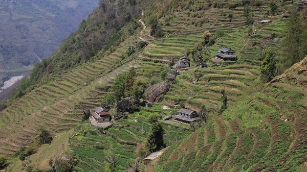 Escena Rural Taulung Área Conservación Annapurna Nepal Colina Empinada Con — Foto de Stock