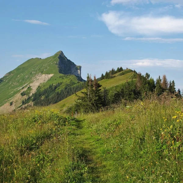 Mount Augstmatthorn Bernese Oberland Popular Mountain Viewpoint Interlaken — Stock Photo, Image