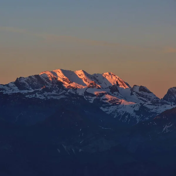 Alcance Bluemlisalp Nascer Sol Vista Monte Niederhorn Bernese Oberland Suíça — Fotografia de Stock