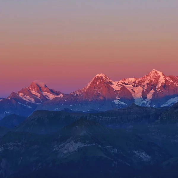 Bergen Schreckhorn Eiger Monch Bij Zonsondergang Uitzicht Vanaf Mount Niesen — Stockfoto