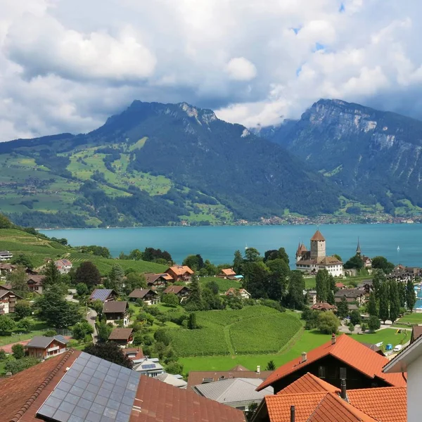 Pięknej Miejscowości Spiez Jeziora Thun Góry Sigriswiler Rothorn Niederhorn Szwajcaria — Zdjęcie stockowe