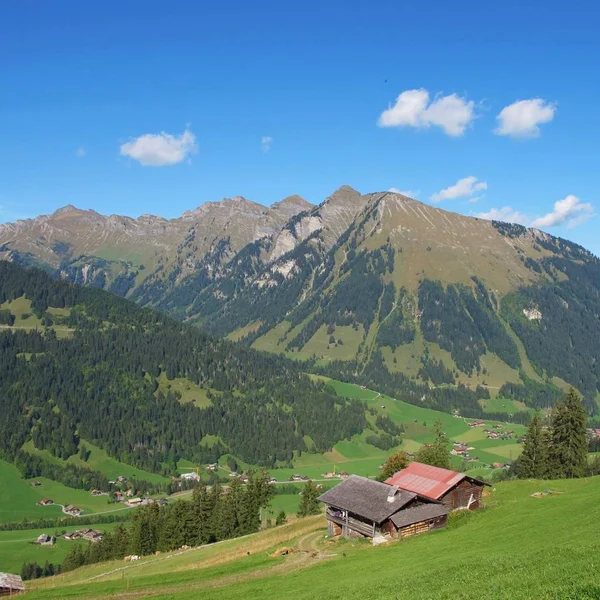 Landschap Buurt Van Gstaad Zwitserland Mount Primelod — Stockfoto