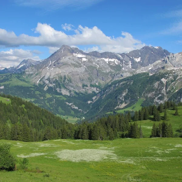 Mount Spitzhorn Yaz Sviçre — Stok fotoğraf