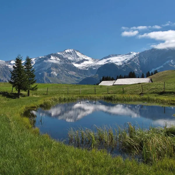 Mount Wildhorn Återspeglar Damm Wispile Saanenland Valley Schweiz — Stockfoto