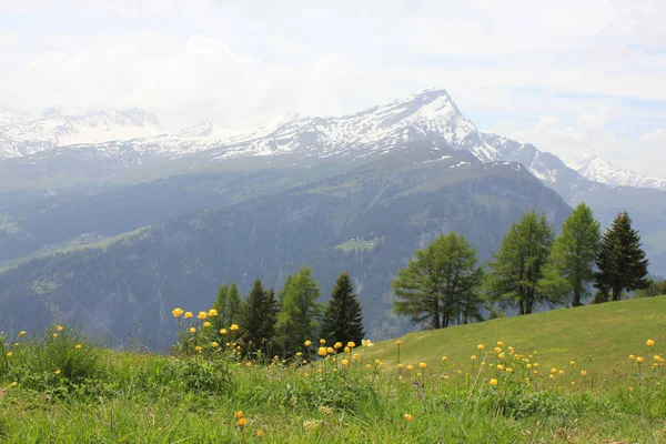 Vroege Zomer Graubünden Zwitserland — Stockfoto
