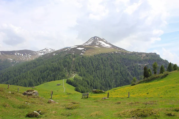 绿色草甸与黄色的花朵和穆特纳角 山在瑞士 — 图库照片