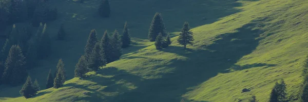 Зелений Ландшафт Кантоні Grisons Швейцарія Ліс Обермуттен — стокове фото
