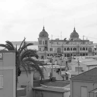 Palmiye ağacı ve Casa Carbonell. Sahne: Alicante, İspanya.