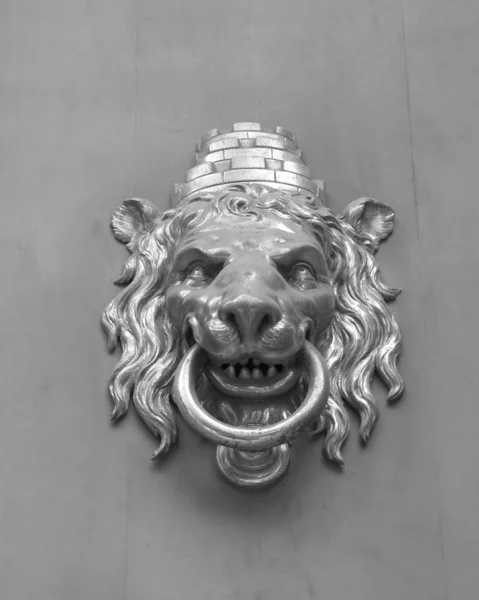 Lion Shaped Door Knocker Barcelona — Stock Photo, Image