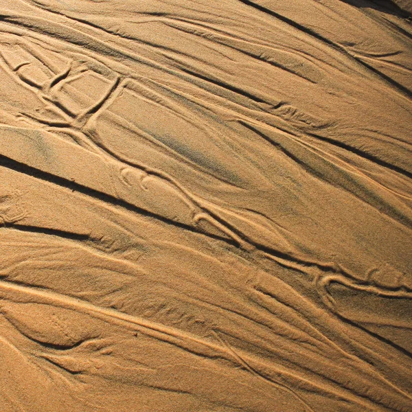 Tracce Nella Sabbia Scena Sulla Spiaggia Lago Vanern Dopo Piogge — Foto Stock