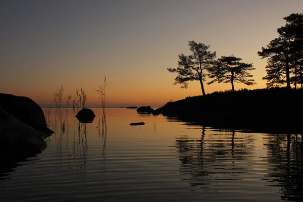 Árvores Gêmeas Refletindo Lago Vanern Suécia Dia Outono Claro — Fotografia de Stock