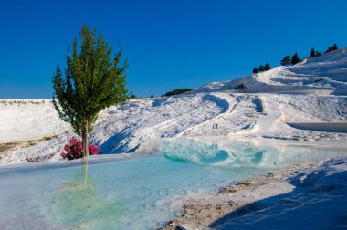 Pamukkale Türk mineral kalsiyum havuzu. UNESCO 'ya dahil tüm doğal nesneler
