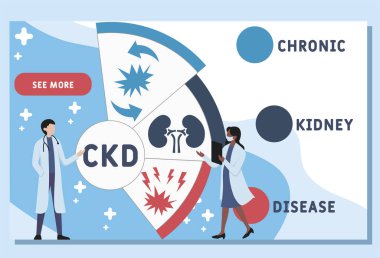 Vektör web sitesi tasarım şablonu. CKD - Kronik Böbrek Hastalığı kısaltması, tıbbi kavram. Web sitesi afişi, pazarlama malzemeleri, iş sunumu, çevrimiçi reklamcılık için illüstrasyon.