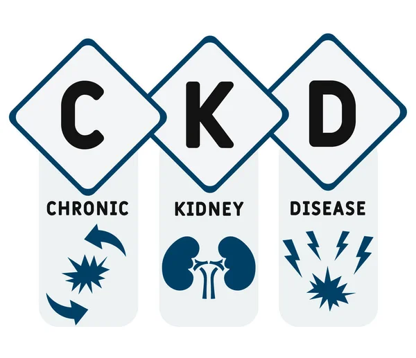 Ckd Akronym Für Chronische Nierenerkrankungen Medizinischer Hintergrund Vektor Illustrationskonzept Mit — Stockvektor