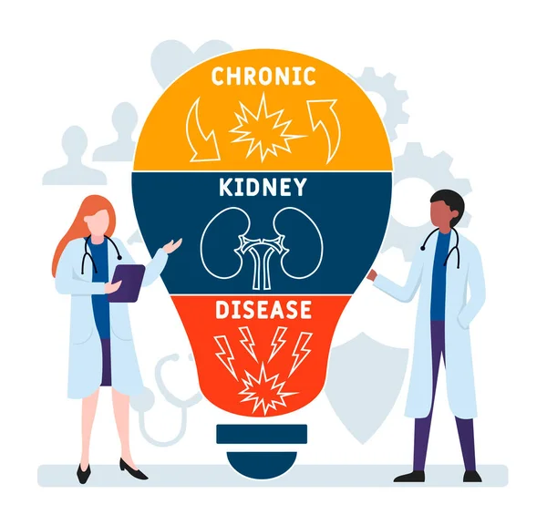 Design Plat Avec Des Gens Ckd Chronic Kidney Disease Acronyme — Image vectorielle