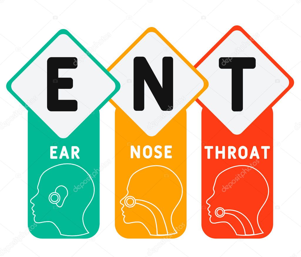 ENT - Ear Nose Throat acronym, medical concept background. vector illustration concept with keywords and icons. lettering illustration with icons for web banner, flyer, landing page