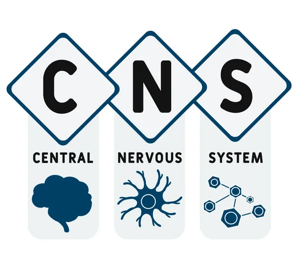 Snc Système Nerveux Central Acronyme Contexte Concept Médical Concept Illustration — Image vectorielle