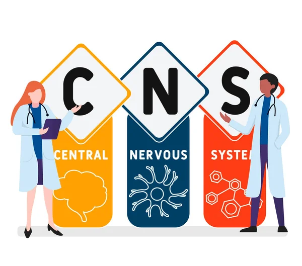 Platt Design Med Människor Cns Central Nervsystemet Akronym Medicinskt Koncept — Stock vektor