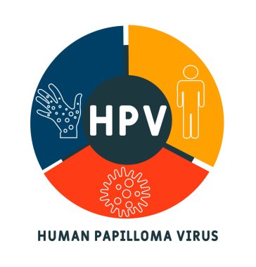 HPV - İnsan Papilloma Virüsü kısaltması, tıbbi konsept geçmişi. Anahtar sözcükler ve simgelerle vektör illüstrasyon kavramı. Web afişi, el ilanı, iniş sayfası simgeleriyle illüstrasyon