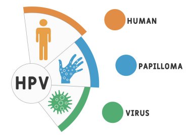 HPV - İnsan Papilloma Virüsü kısaltması, tıbbi konsept geçmişi. Anahtar sözcükler ve simgelerle vektör illüstrasyon kavramı. Web afişi, el ilanı, iniş sayfası simgeleriyle illüstrasyon