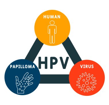 HPV - İnsan Papilloma Virüsü kısaltması, tıbbi konsept geçmişi. Anahtar sözcükler ve simgelerle vektör illüstrasyon kavramı. Web afişi, el ilanı, iniş sayfası simgeleriyle illüstrasyon
