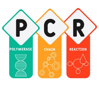 PCR - Polimeraz zincir reaksiyon kısaltması, tıbbi konsept geçmişi. Anahtar sözcükler ve simgelerle vektör illüstrasyon kavramı. Web afişi, el ilanı, iniş sayfası simgeleriyle illüstrasyon
