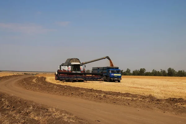 Rostselmash Torum 750 Torum 740 Hasat Kış Buğday — Stok fotoğraf