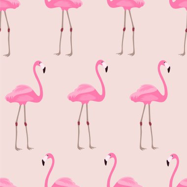 pembe arka plan üzerinde flamingolar ile dikişsiz vektör deseni