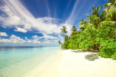 Tropical Resort Banner stok fotoğraf