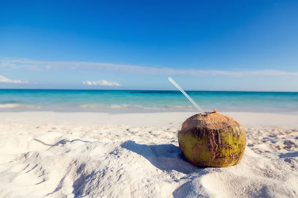 新鲜的椰子鸡尾酒热带海滩上 — 图库照片