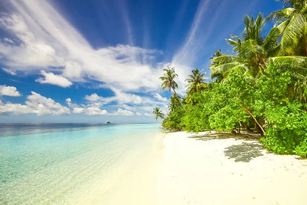 Tropical Resort Banner Fotografie Stoc Imagini stoc fără drepturi de autor