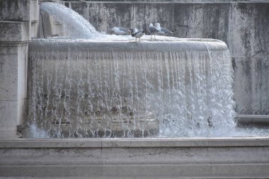 particolare della fontana di piazza venezia bir Roma,İtalya