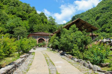 Kır evinin önünde garaj yolu var. Yeşil tepelerle çevrili Idyllic evi.