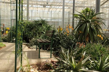 Botanik bahçesinde bir köşe. Sessiz bir yerde duraklamak için kenarda dur..