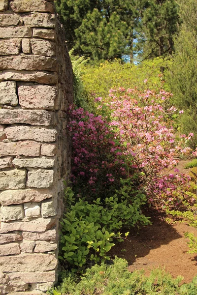 Een Decoratieve Tuinverdeler Gemaakt Van Rotsen Bushy Planten Buurt Van — Stockfoto