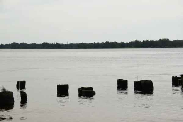 Los Viejos Pilones Del Muelle Están Fuera Del Agua —  Fotos de Stock