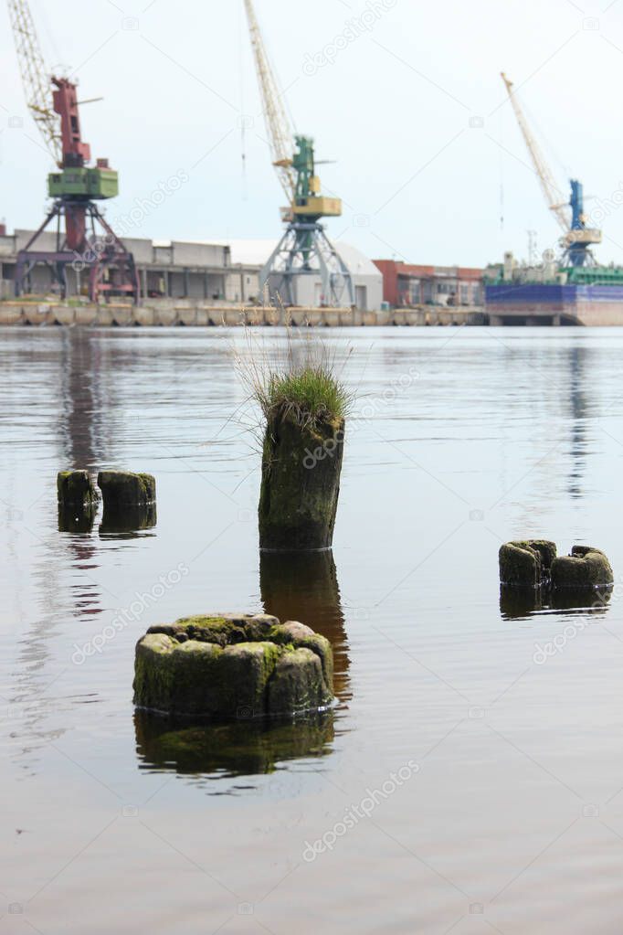 Eroded pier piles stand outside the water. Cargo cranes stand in the background. 