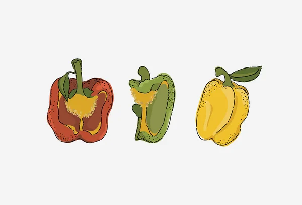 不同颜色和形状的甜椒 跨部门的甜椒 蔬菜套件 — 图库矢量图片